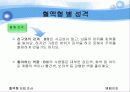 혈액형[blood groups 血液型]Blood Type Research  11페이지