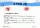 혈액형[blood groups 血液型]Blood Type Research  47페이지
