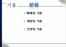 폐암과 기흉의 치료와 간호 38페이지