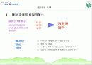 외환은행사태의 모든것 14페이지