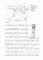 세포벽의 구성성분과 그람양성, 음성균의 세포벽 조성 차이 11페이지