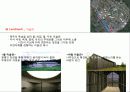 Biotopia 자연과 인간의 공존 핀크스 비오토피아 (pinx Biotopia) 9페이지