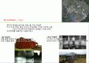 Biotopia 자연과 인간의 공존 핀크스 비오토피아 (pinx Biotopia) 10페이지