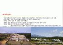 Biotopia 자연과 인간의 공존 핀크스 비오토피아 (pinx Biotopia) 12페이지