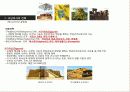 서양건축사의 시대별 특징과 대표사례 5페이지