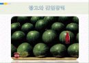 산업의 광고 PPT 10페이지