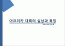 기회의 땅 아프리카 조사 분석 3페이지