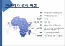 기회의 땅 아프리카 조사 분석 4페이지