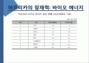 기회의 땅 아프리카 조사 분석 17페이지
