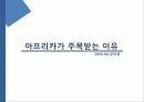 기회의 땅 아프리카 조사 분석 28페이지