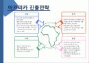 기회의 땅 아프리카 조사 분석 38페이지