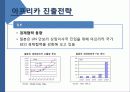 기회의 땅 아프리카 조사 분석 44페이지