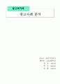 광고와카피 레포트 1페이지