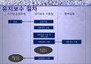 DB개론_프로젝트_발표ppt 24페이지