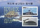 수행과제 - 추적60분 독도 편 4페이지