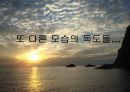 수행과제 - 추적60분 독도 편 5페이지
