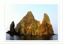 수행과제 - 추적60분 독도 편 9페이지