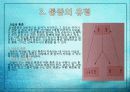 위암 케이스스터디입니다. 문헌고찰과 간호과정으로 이루어집니다. 간호진단은 3개로 구성됩니다.  22페이지