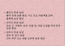 척추결핵 케이스스터디입니다. 문헌고찰과 간호과정으로 이루어져있습니다. 간호진단은 3개 내려보았습니다.  4페이지