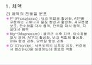 체액_및산염기_불균형에 대한 내용입니다.  10페이지