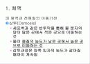 체액_및산염기_불균형에 대한 내용입니다.  13페이지
