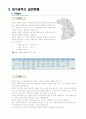 샤랄라 아파트 사업계획서 (대구) 12페이지