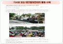 그린피스와 대구참여연대 30페이지