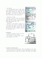 (최종) 컴퓨터를 이용한 계측실험 I 13페이지