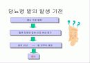 당뇨병환자의 발 관리 PPT 3페이지
