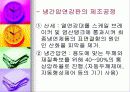 압연공정 (열간압연강판 냉간압연강판) 10페이지