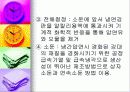 압연공정 (열간압연강판 냉간압연강판) 11페이지