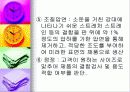 압연공정 (열간압연강판 냉간압연강판) 12페이지