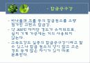 공구재료의 분류와 특성 8페이지