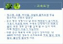 공구재료의 분류와 특성 11페이지