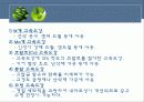 공구재료의 분류와 특성 12페이지