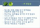 공구재료의 분류와 특성 15페이지