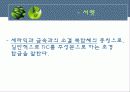 공구재료의 분류와 특성 17페이지