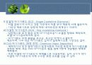 공구재료의 분류와 특성 25페이지