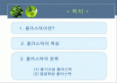 플라스틱의 특성과 분류 2페이지