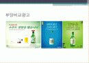 부당광고개념 및 각 사례발표 (부당광고의 사례 발표 소비자정보) 16페이지