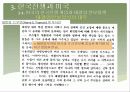 한국전쟁과 미국 48페이지