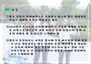 연예인 국제무역 17페이지