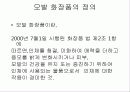 모발화장품 조사 3페이지