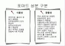모발화장품 조사 35페이지