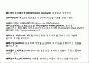 모발화장품 조사 48페이지