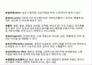 모발화장품 조사 58페이지