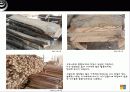 가구제조 소재 고무나무 6페이지
