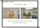 천연 페인트 13페이지