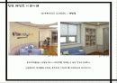 천연 페인트 14페이지