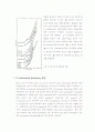 Rheometer 14페이지